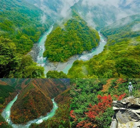 祖屋|秘境・祖谷の絶景 かずら橋と祖谷渓めぐり 